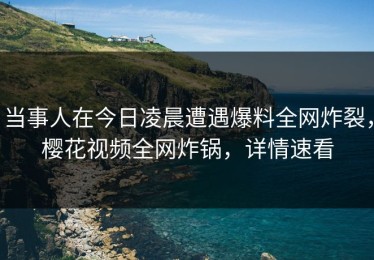 当事人在今日凌晨遭遇爆料全网炸裂，樱花视频全网炸锅，详情速看