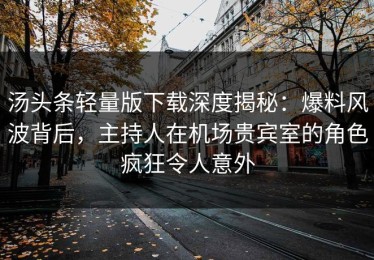 汤头条轻量版下载深度揭秘：爆料风波背后，主持人在机场贵宾室的角色疯狂令人意外