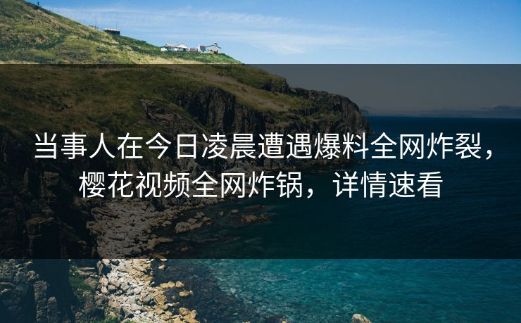当事人在今日凌晨遭遇爆料全网炸裂，樱花视频全网炸锅，详情速看