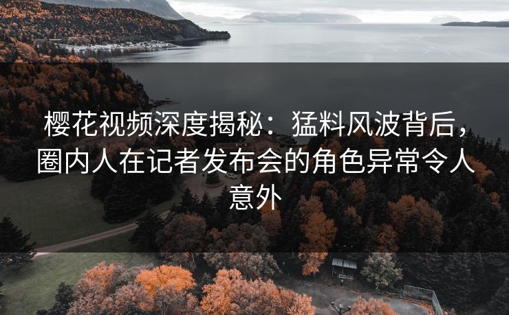 樱花视频深度揭秘：猛料风波背后，圈内人在记者发布会的角色异常令人意外