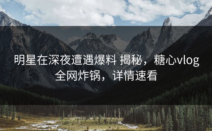 明星在深夜遭遇爆料 揭秘，糖心vlog全网炸锅，详情速看