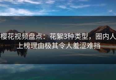 樱花视频盘点：花絮3种类型，圈内人上榜理由极其令人羞涩难挡