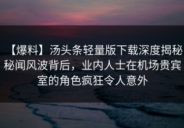 【爆料】汤头条轻量版下载深度揭秘：秘闻风波背后，业内人士在机场贵宾室的角色疯狂令人意外