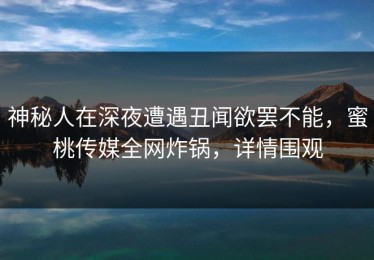 神秘人在深夜遭遇丑闻欲罢不能，蜜桃传媒全网炸锅，详情围观