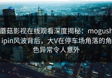 蘑菇影视在线观看深度揭秘：mogushipin风波背后，大V在停车场角落的角色异常令人意外