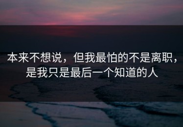 本来不想说，但我最怕的不是离职，是我只是最后一个知道的人